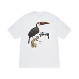 Stussy